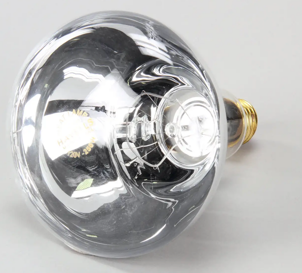 BOMBILLA CLEAR LENS 250W (NEM45376) NEMCO