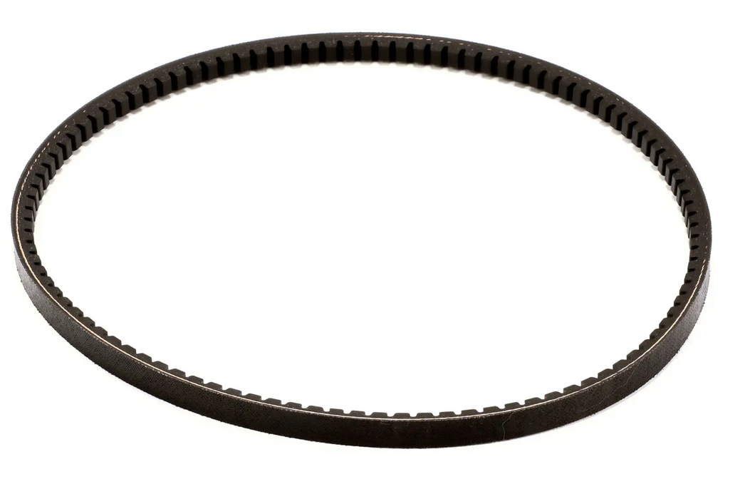 BELT-AX36 (022849) TAYLOR
