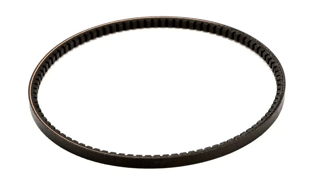 BELT - AX32 (032769) Taylor