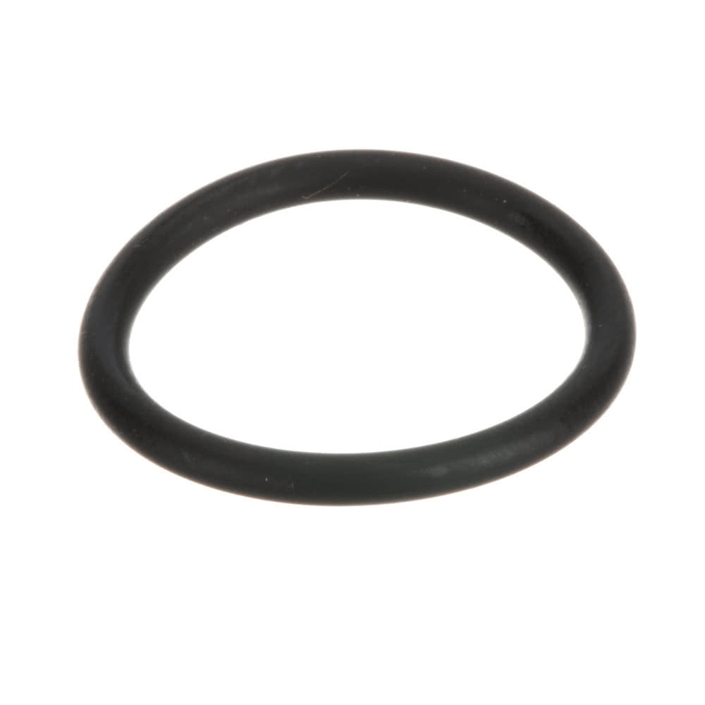 Empaque (O'Ring) 3/8 Npt Para Sistema de Filtrado (MS01-561)
